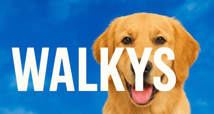 Walkys Dog Training Academy