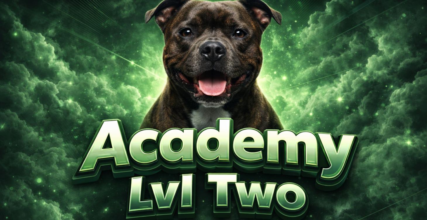 Academy Lvl Two