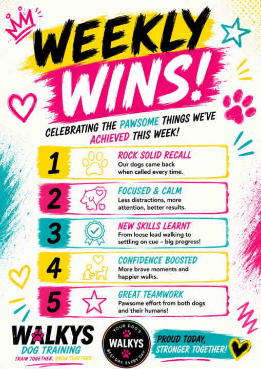 Weekly Wins!!
