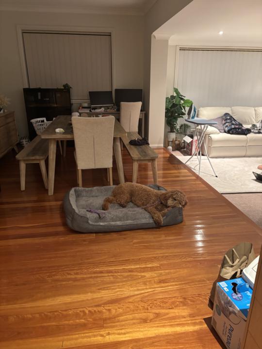 Place Training