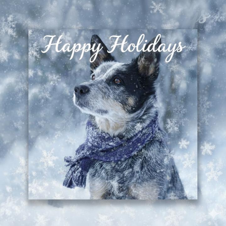 FB Photo and Holiday Card