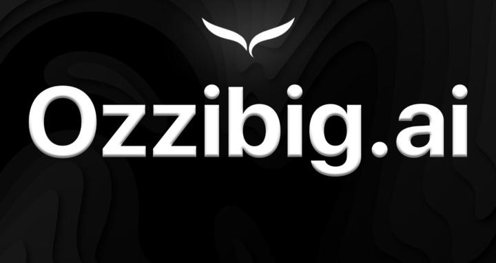 Ozzibig.ai
