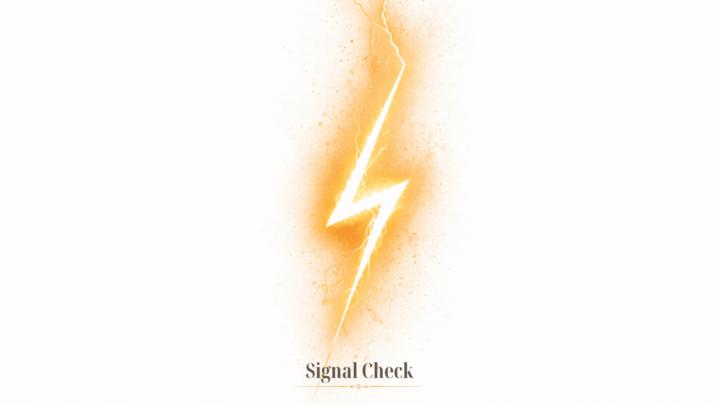 Signal Check 003: Love without Performance