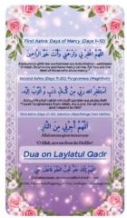 S Ahmed