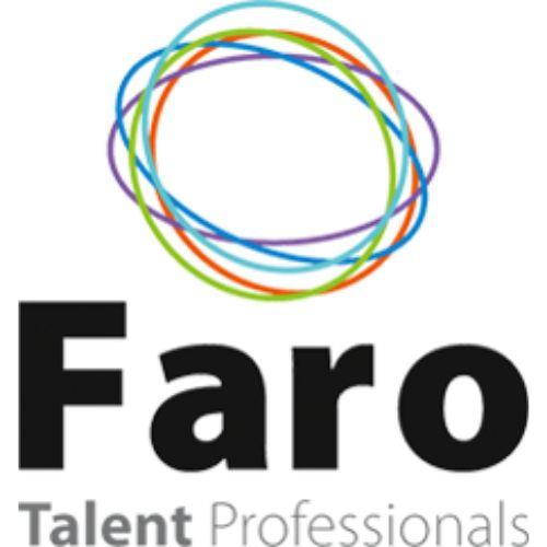 Executive Search and selection