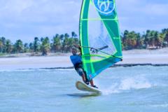 Mechthild Amann-Herr