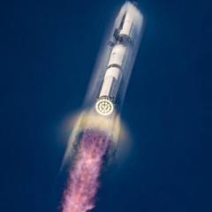 TeamElon Musk