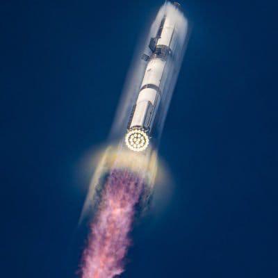 TeamElon Musk