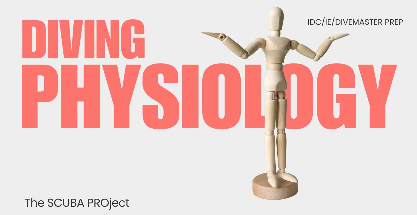 Physiology of diving - IDC and IE Theory