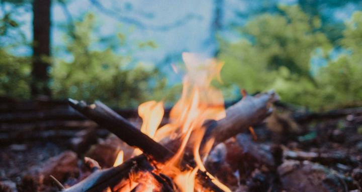 The Fireside 