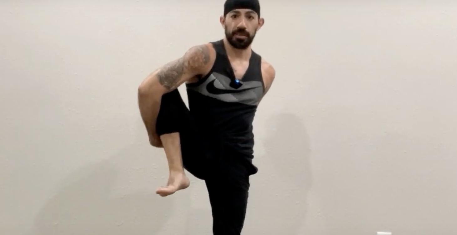 Arm Balances/Inversions