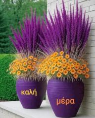 Ανθή Παπαβασιλείου