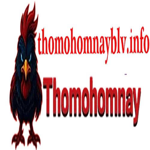 Thomohomnay Blvinfo
