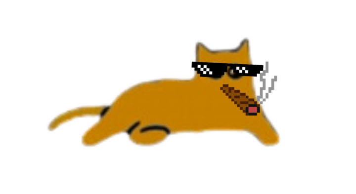 You are finally a cool Community - I'm here🐾✨