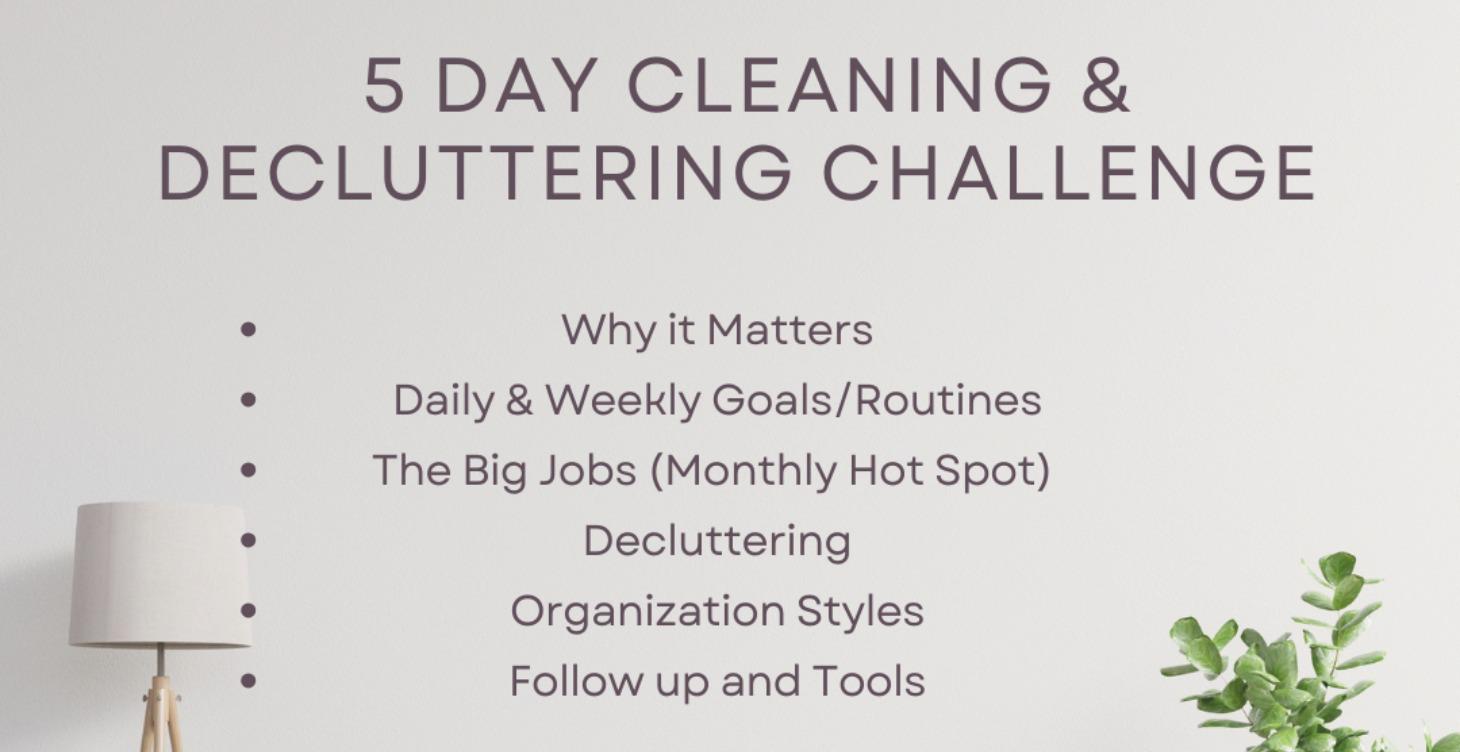 5 Day Cleaning and Organizing Challenge
