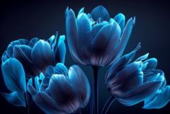 Gombosuren Altantuya