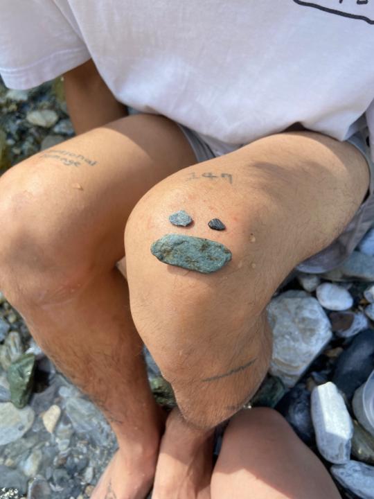 魚 小魚