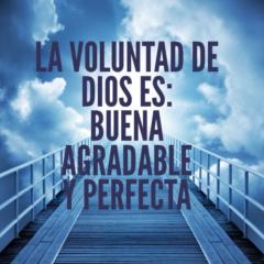 Maria Teresa Patiño