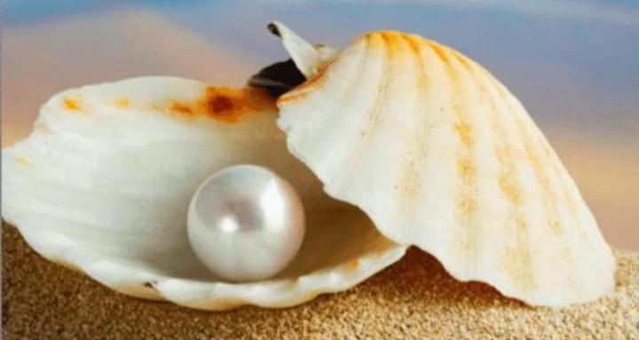 healing through stories