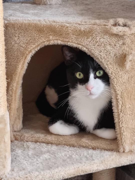 Noelia Lopez Fernandez