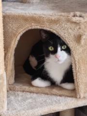 Noelia Lopez Fernandez