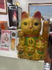 彩虹 李