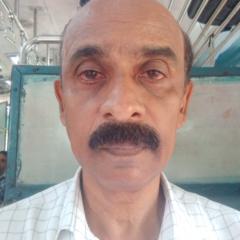Lal Sylum