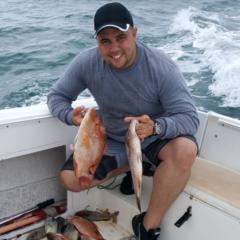 Duniel Del pino amador