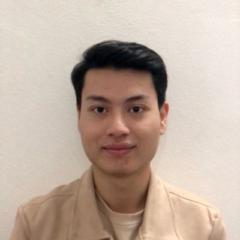 Nguyễn Hồng Việt