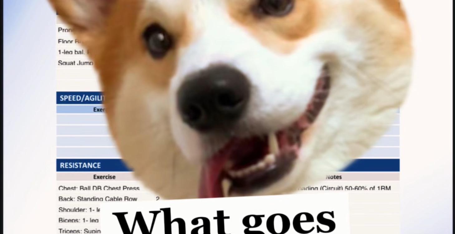 #2 Anatomy of a Workout Plan