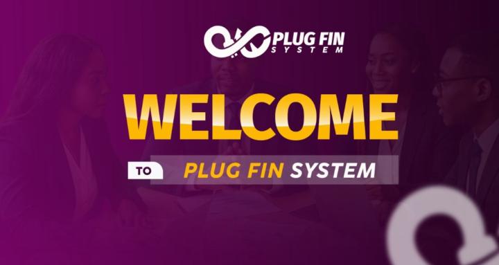 Plug Fin System