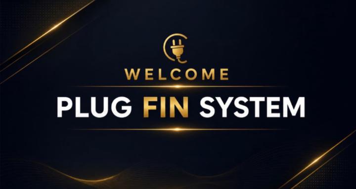 Plug Fin System