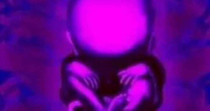Indigo Child Doula & Holistics