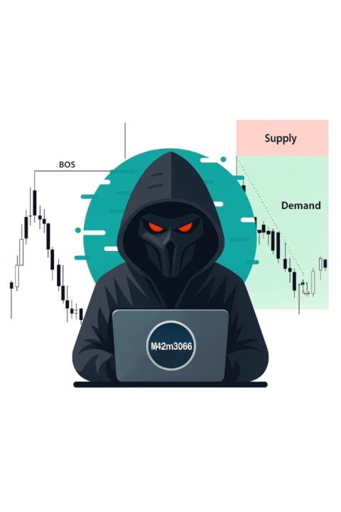 Mansoorshah Mahmoodi