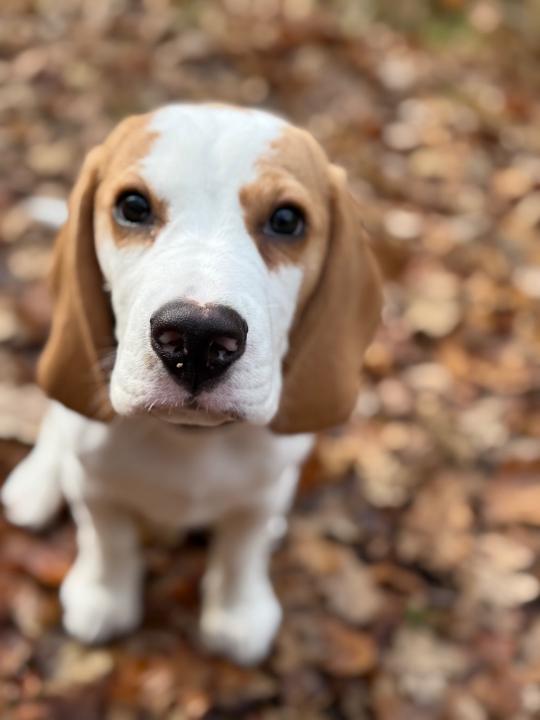 Mareen Roth-Jagielski