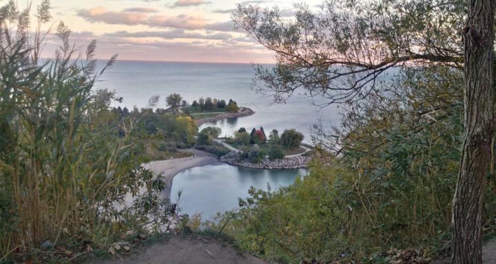 Learn photography as a newbie