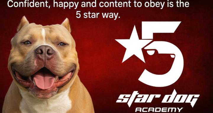 5 Star Dog Academy