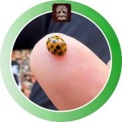 Saul Rincon Martinez