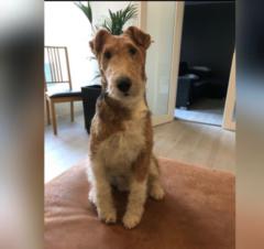 Laura Emilia Kirjavainen