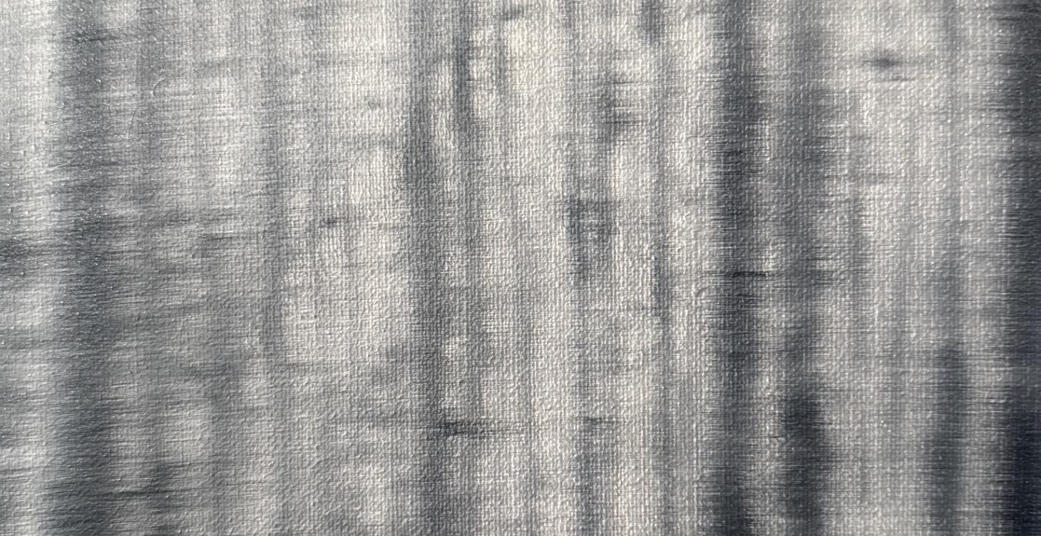 A Trip Through the Forest