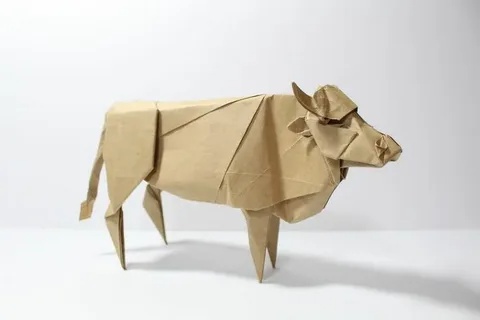 Bharti Taylor