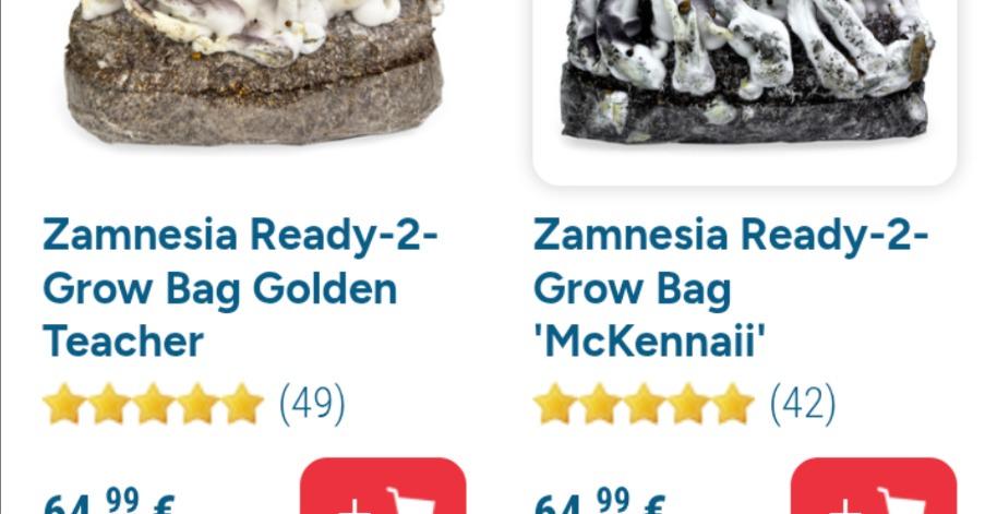 Step 1: www.zamnesia.com