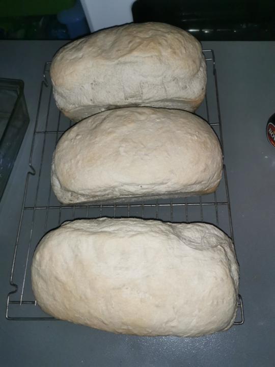 Sourdough Bread SA Fam 