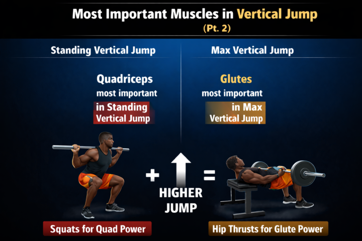 Quad Muscle Group - (STAY TUNED FOR GLUTE TRAINING INFO)