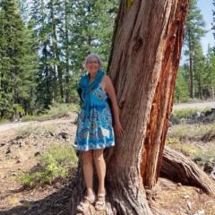 Marie José Laruelle