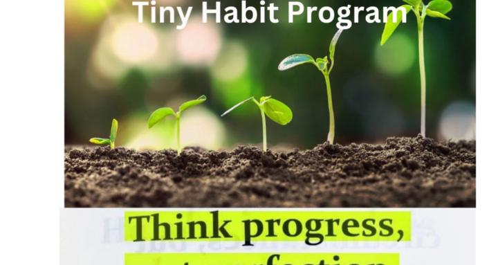 Tiny Habits