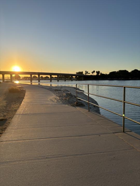 Daily Walks 