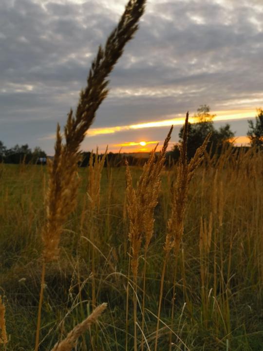 Kristína Linhartová