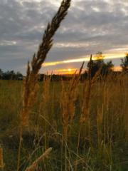 Kristína Linhartová