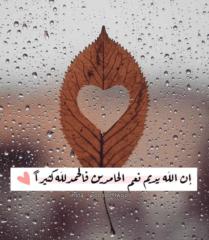 Weda Waled